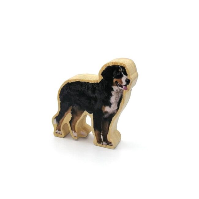 Figuras magnéticas de bambú: Animales de la granja de Nowordbooks - Imagen 3