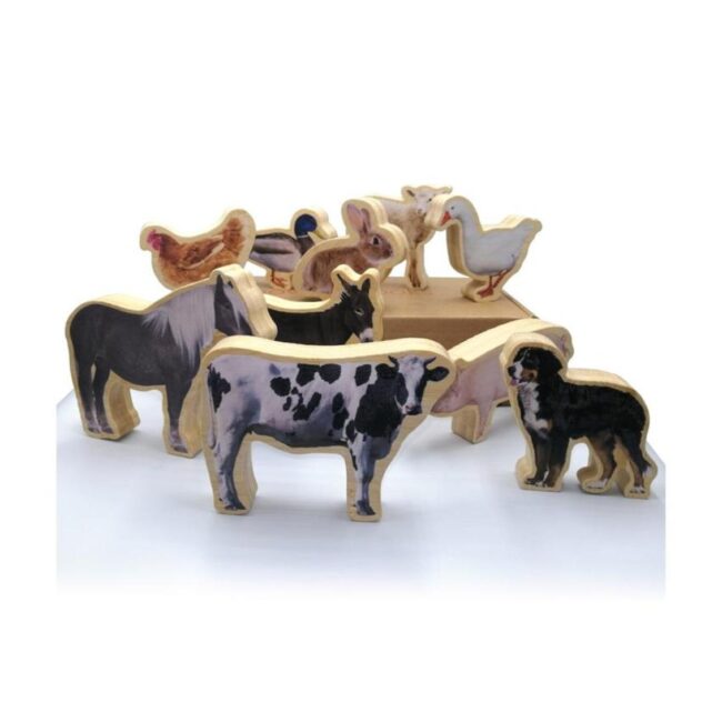 Figuras magnéticas de bambú: Animales de la granja de Nowordbooks - Imagen 2