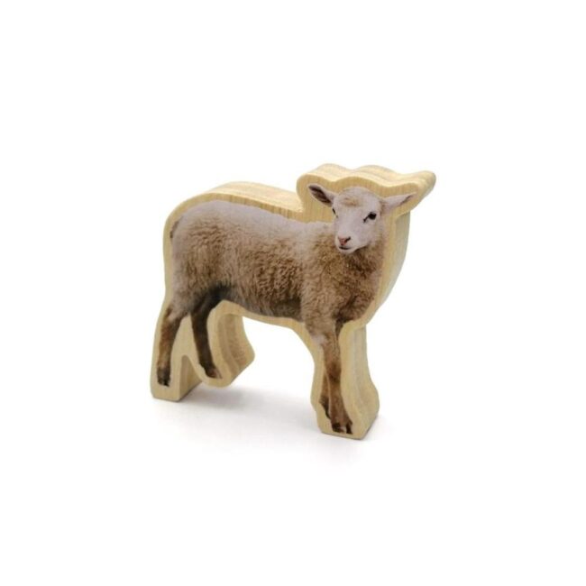Figuras magnéticas de bambú: Animales de la granja de Nowordbooks - Imagen 5