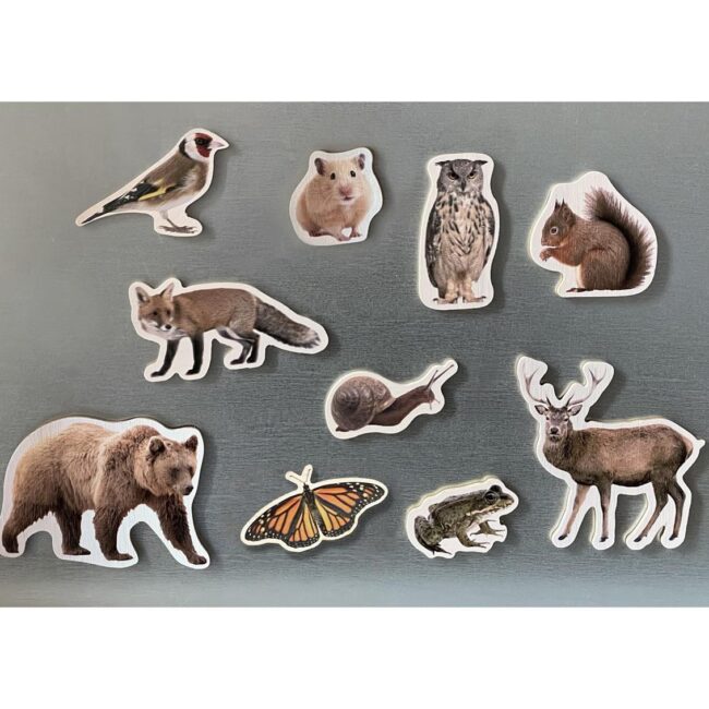 Piezas magnéticas de bambú: animales polares de Nowordbooks