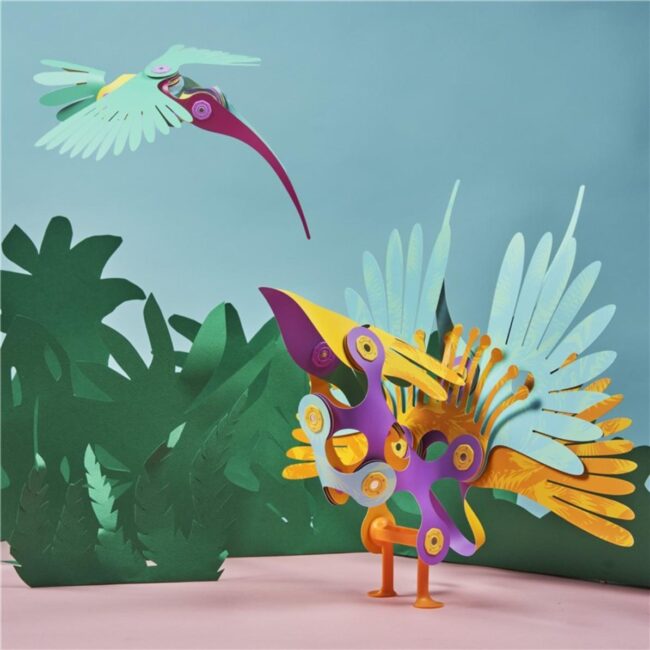 Clixo® Tropical birds Pack - Imagen 4