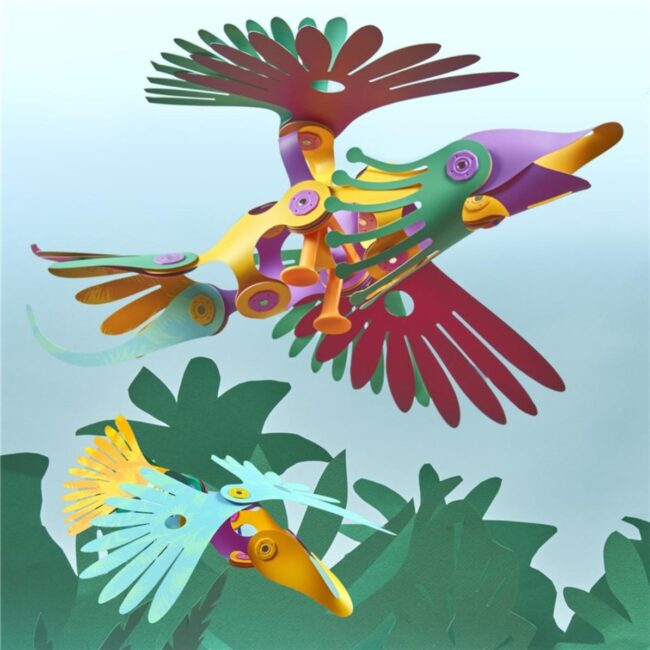 Clixo® Tropical birds Pack - Imagen 5