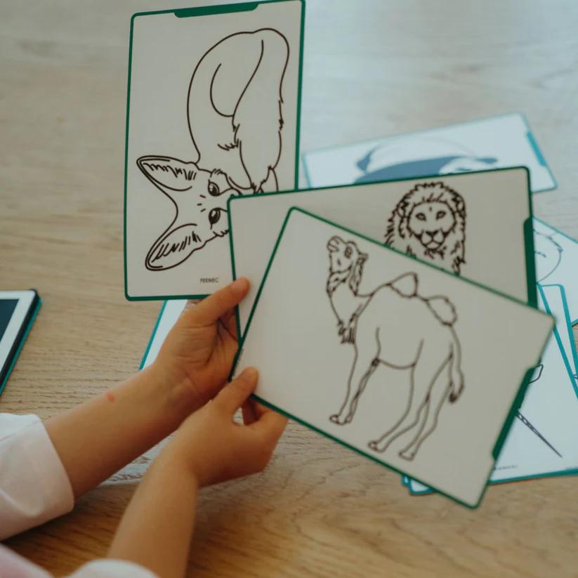 Plantillas de animales del mundo y océanos y piratas para Kidydraw mini de Kidywolf - Imagen 4