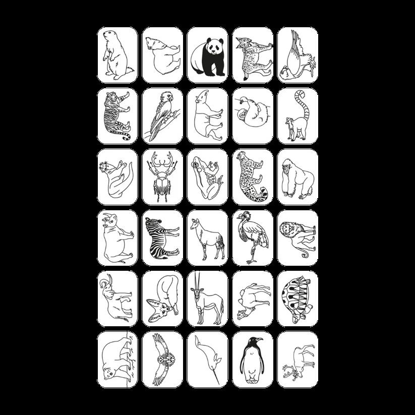 Plantillas de animales del mundo y océanos y piratas para Kidydraw mini de Kidywolf - Imagen 2