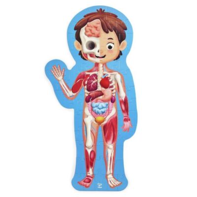 Puzle Del Cuerpo Humano De Hape